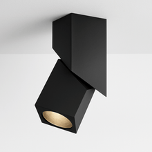 Load image into Gallery viewer, Murakab Downlight
