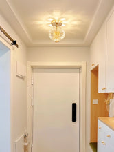 Load image into Gallery viewer, Naqi Crystal Ceiling Lamp
