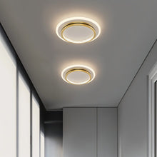 Load image into Gallery viewer, Nar Ceiling Light
