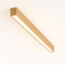 Load image into Gallery viewer, Neiro Ceiling Light
