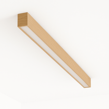 Load image into Gallery viewer, Neiro Ceiling Light
