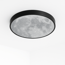 Load image into Gallery viewer, Neoma Ceiling Light
