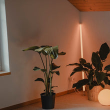 Load image into Gallery viewer, Neon Tube Floor Lamp
