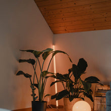 Load image into Gallery viewer, Neon Tube Floor Lamp

