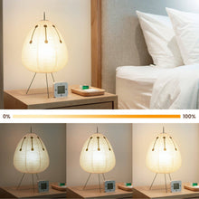 Load image into Gallery viewer, Nogy Paper Lamp with Black Design • Lantern Lamp • Rice Paper Lantern Lamp • Japanese Lamp • White Paper Lamp (Black/White)
