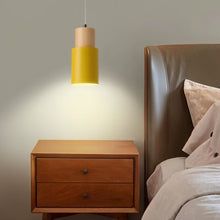 Load image into Gallery viewer, Nouveau Pendant Light
