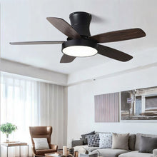 Carregar imagem no visualizador da galeria, Nuit Ceiling Fan
