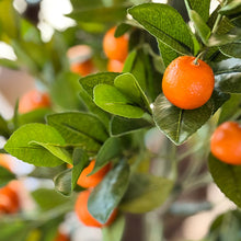 Load image into Gallery viewer, Faux Tangerine Tree, Choose Your Size
