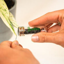 Load image into Gallery viewer, Bamboo Charcoal Floss in Glass Container
