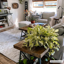 Load image into Gallery viewer, Poydras High-Low Rustic Rug
