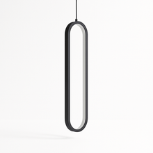 Load image into Gallery viewer, Ova Pendant Light
