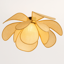 Carregar imagem no visualizador da galeria, Pankh Ceiling Light
