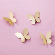 Load image into Gallery viewer, Papilio Drawer Pull
