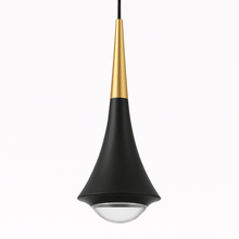 Load image into Gallery viewer, Phos Pendant Light

