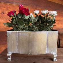 Load image into Gallery viewer, Aged Metal Footed Planters, Set of Two
