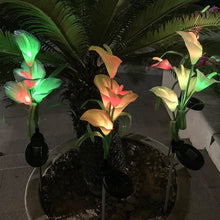 Cargar imagen en el visor de la galería, 4 Pack Solar Common Calla Lamp Four Color LED
