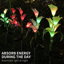 Cargar imagen en el visor de la galería, 4 Pack Solar Common Calla Lamp Four Color LED
