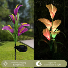 Cargar imagen en el visor de la galería, 4 Pack Solar Common Calla Lamp Four Color LED
