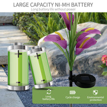 Cargar imagen en el visor de la galería, 4 Pack Solar Common Calla Lamp Four Color LED
