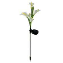Cargar imagen en el visor de la galería, 4 Pack Solar Common Calla Lamp Four Color LED
