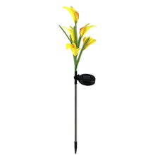 Cargar imagen en el visor de la galería, 4 Pack Solar Common Calla Lamp Four Color LED
