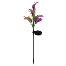 Cargar imagen en el visor de la galería, 4 Pack Solar Common Calla Lamp Four Color LED
