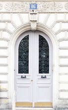 Load image into Gallery viewer, Marseilles Double Iron Doors
