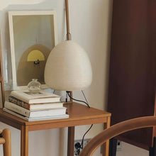 Load image into Gallery viewer, Raito Floor Lamp
