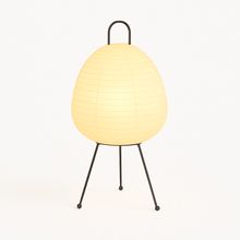 Load image into Gallery viewer, Raito Floor Lamp
