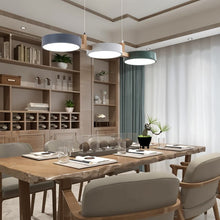 Load image into Gallery viewer, Rangeen Pendant Light

