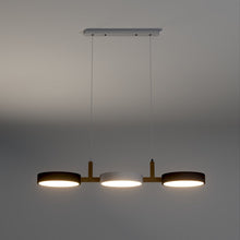 Load image into Gallery viewer, Rangeen Pendant Light
