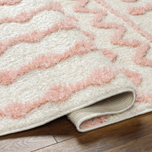 Load image into Gallery viewer, Darva Pink Plush Area Carpet
