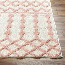 Load image into Gallery viewer, Darva Pink Plush Area Carpet
