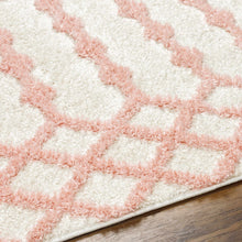 Load image into Gallery viewer, Darva Pink Plush Area Carpet
