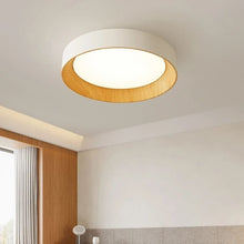 Load image into Gallery viewer, Ribata Ceiling Light
