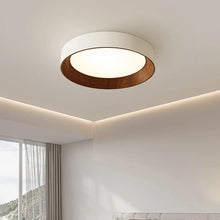 Load image into Gallery viewer, Ribata Ceiling Light
