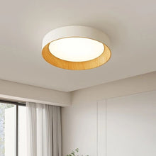 Load image into Gallery viewer, Ribata Ceiling Light
