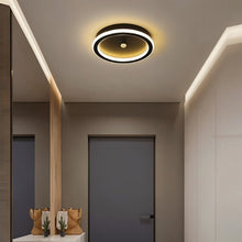 Load image into Gallery viewer, Rohesia Ceiling Light
