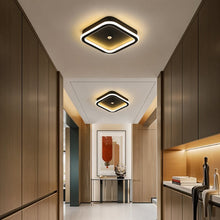 Carregar imagem no visualizador da galeria, Rohesia Ceiling Light
