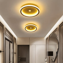 Carregar imagem no visualizador da galeria, Rohesia Ceiling Light
