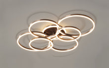 Carregar imagem no visualizador da galeria, Roshan Ceiling light
