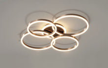 Carregar imagem no visualizador da galeria, Roshan Ceiling light
