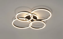 Carregar imagem no visualizador da galeria, Roshan Ceiling light
