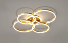 Carregar imagem no visualizador da galeria, Roshan Ceiling light
