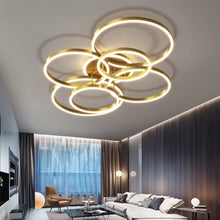 Carregar imagem no visualizador da galeria, Roshan Ceiling light
