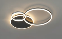 Carregar imagem no visualizador da galeria, Roshan Ceiling light
