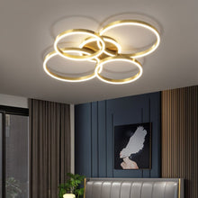 Carregar imagem no visualizador da galeria, Roshan Ceiling light
