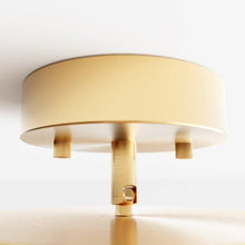 Load image into Gallery viewer, Rupert Ceiling Light
