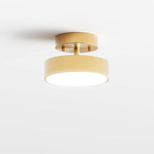 Load image into Gallery viewer, Rupert Ceiling Light
