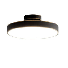 Load image into Gallery viewer, Rupert Ceiling Light
